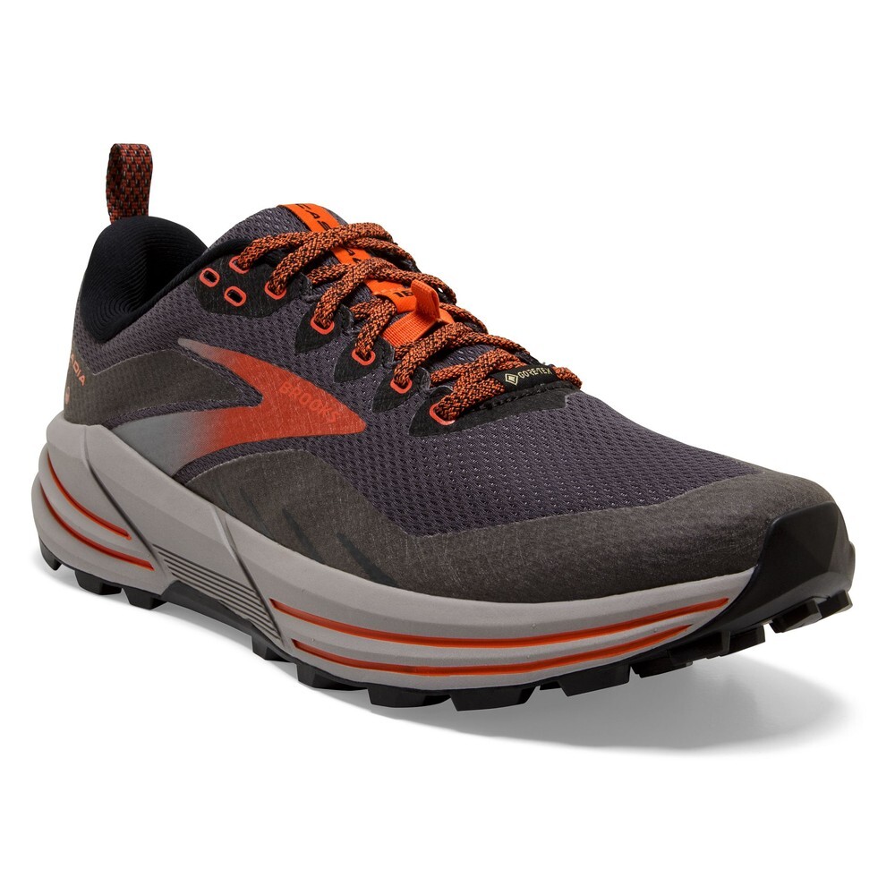 

Кроссовки для бега Brooks Cascadia 16 GORE-TEX Trail, разноцветный