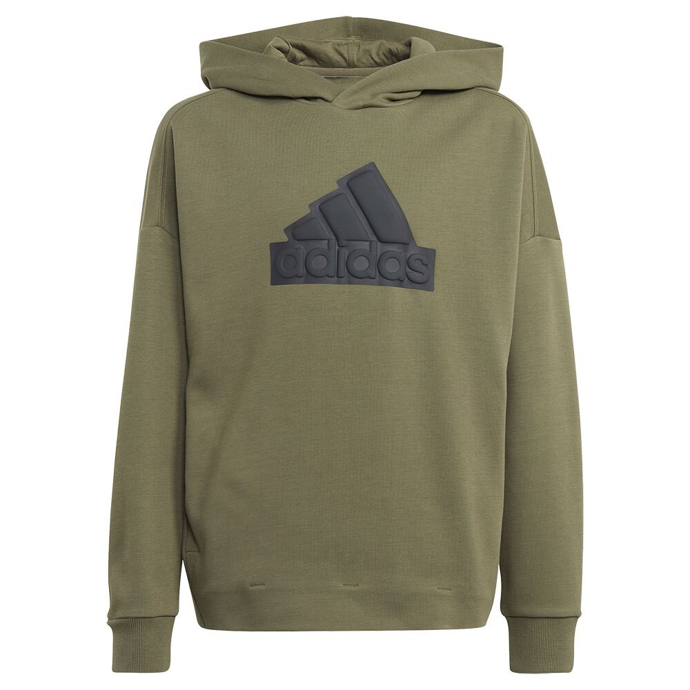 

Худи adidas Future Icons Logo, зеленый