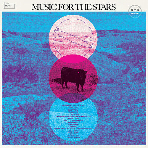 

Виниловая пластинка Music for the Stars / Various: Music For The Stars (celestial Music 1960-1979)