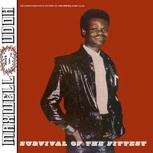 цена Виниловая пластинка Udoh Maxwell - Survival of the Fittest