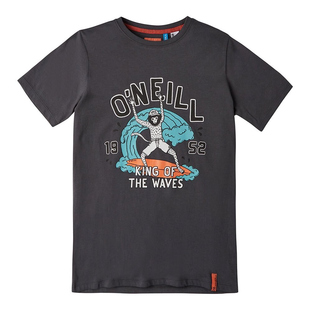 

Футболка O´neill King Of Waves, серый