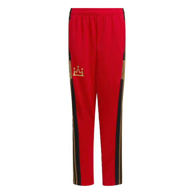 

Тренировочные брюки Salah Squadra ADIDAS, цвет rot