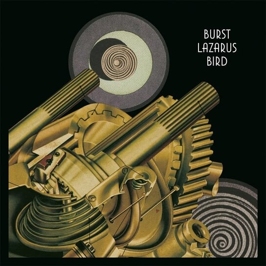 

Виниловая пластинка Burst - Lazarus Bird