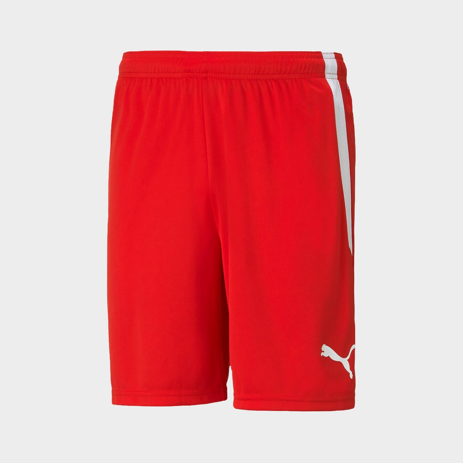 

Мужские футбольные шорты Puma teamLIGA, красный