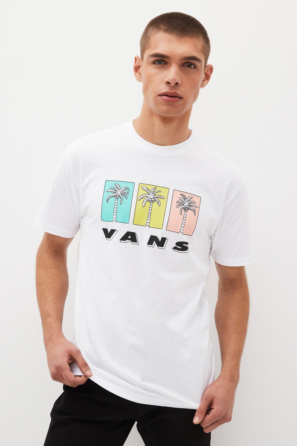 

Белая мужская футболка Palm Trio Vans, белый