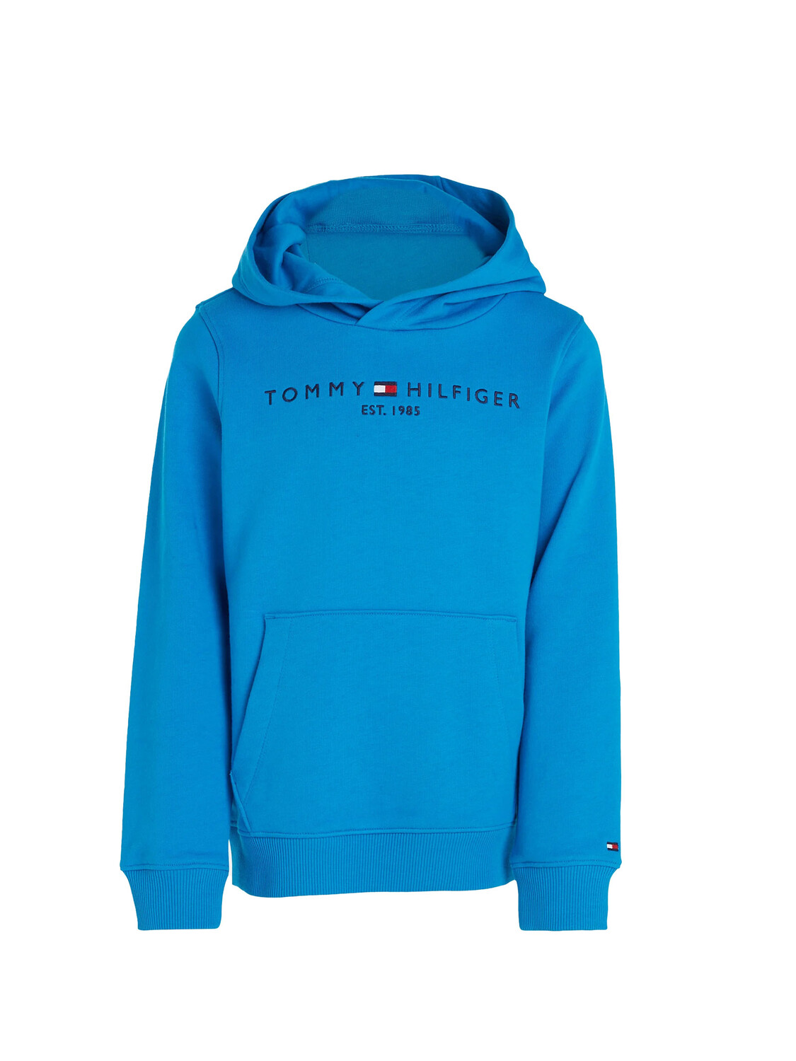 

Детская толстовка Tommy HILFIGER Essential, голубой, Синий