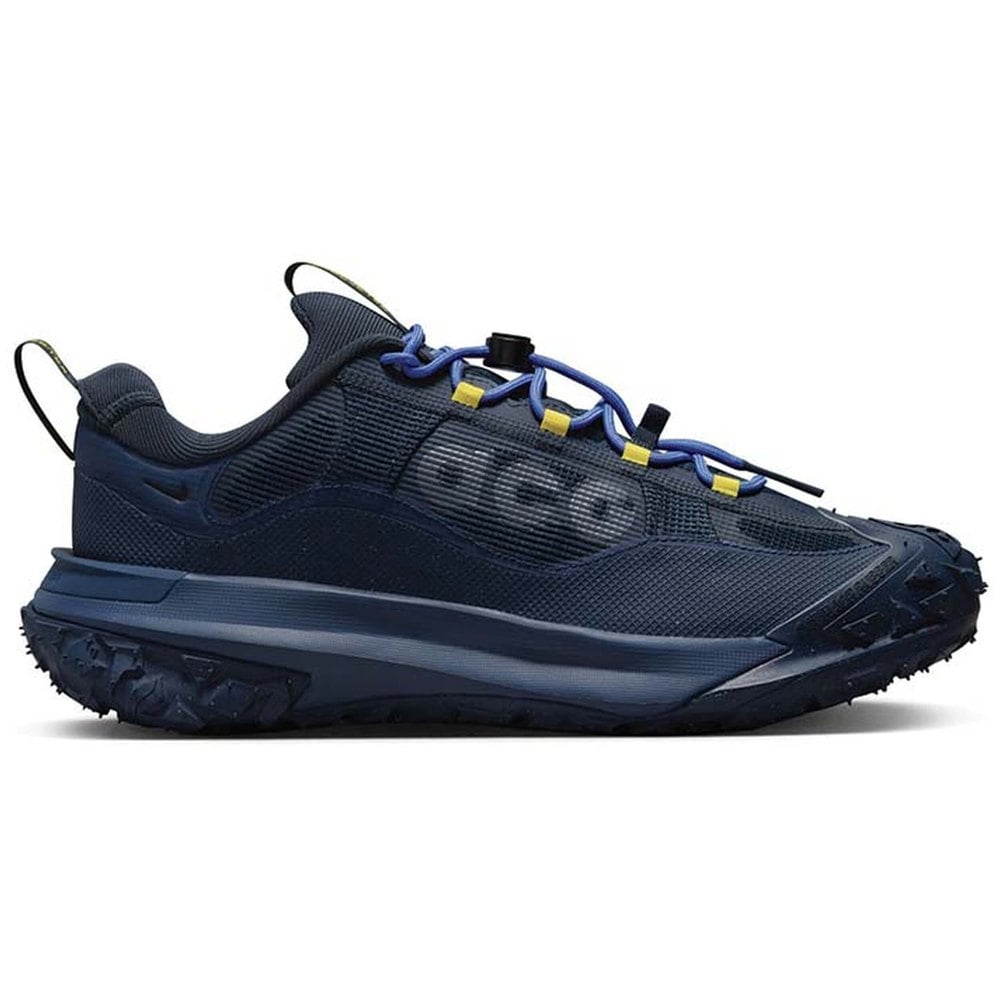 

Кроссовки Nike Acg Mountain Fly 2 Low Gore-Tex , синий