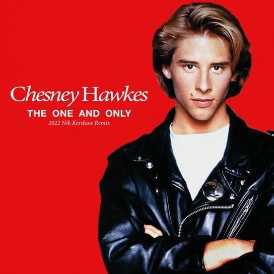

Виниловая пластинка Hawkes Chesney - One and Only