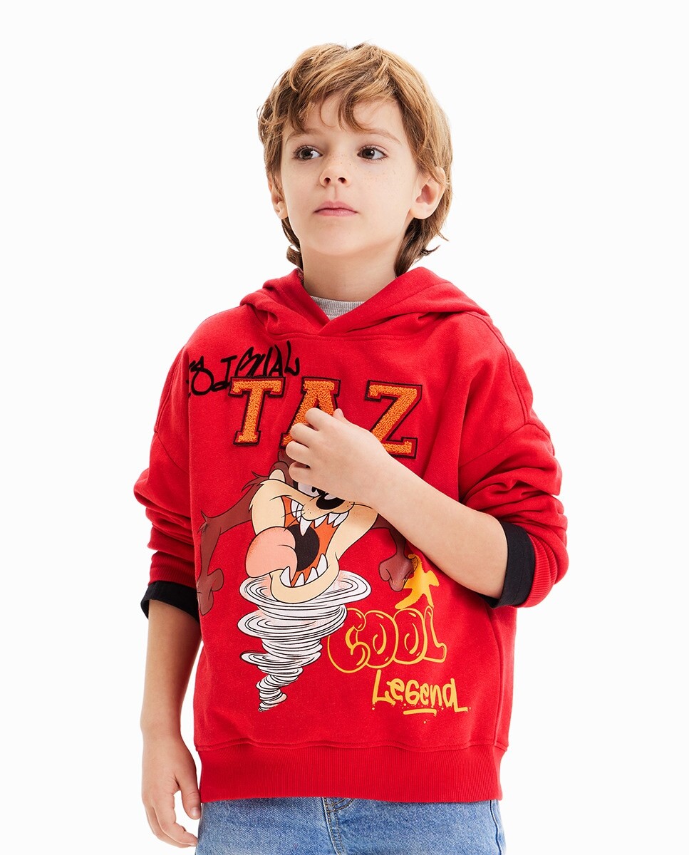 

Толстовка Looney Tunes для мальчика Desigual, красный