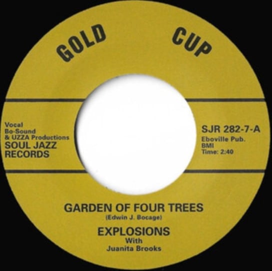 Виниловая пластинка The Explosions - Garden of Four Trees (With Juanita Brooks) цена и фото