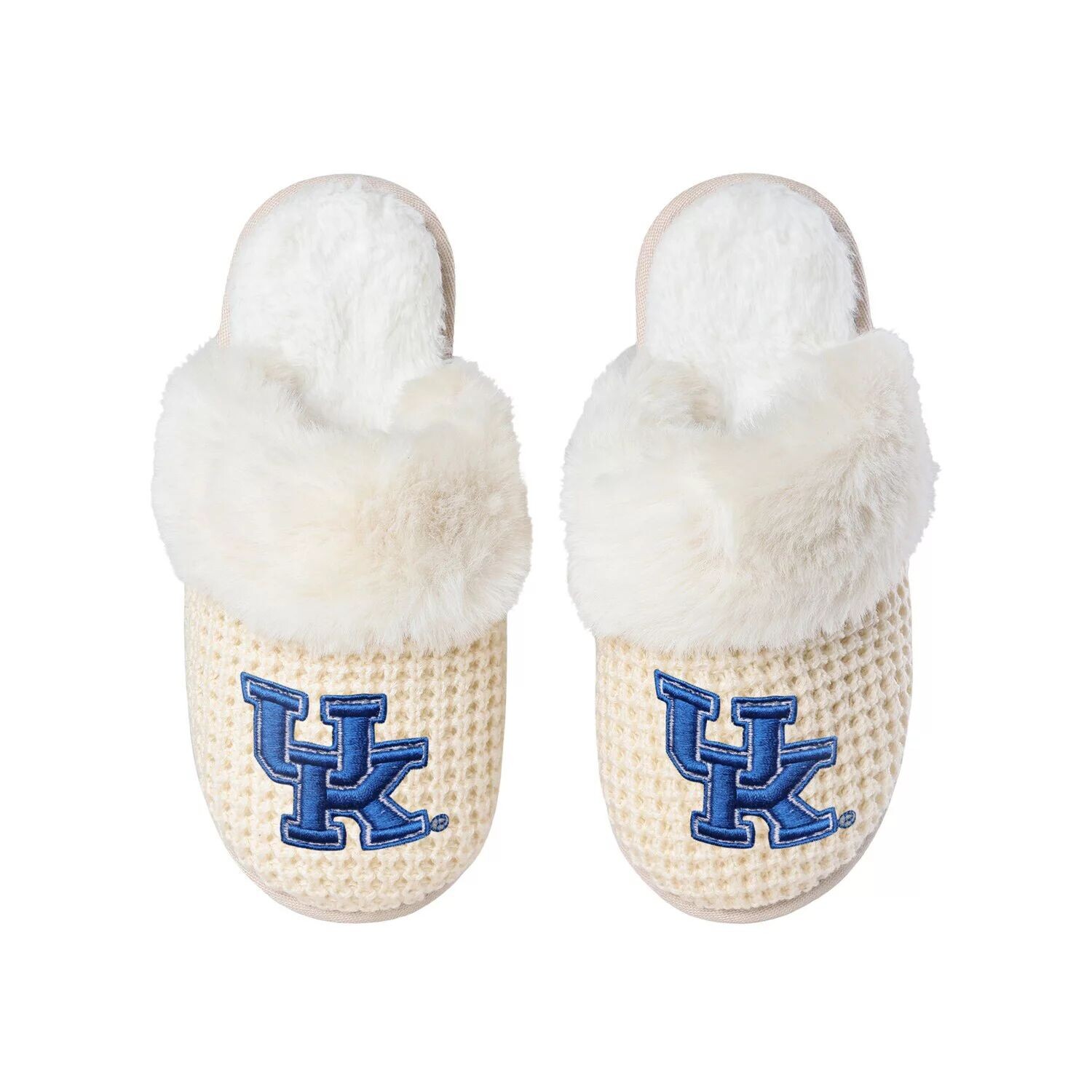 

Женские тапочки с открытой спиной FOCO Kentucky Wildcats