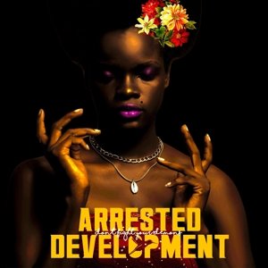 Виниловая пластинка Arrested Development - Don't Fight Your Demons