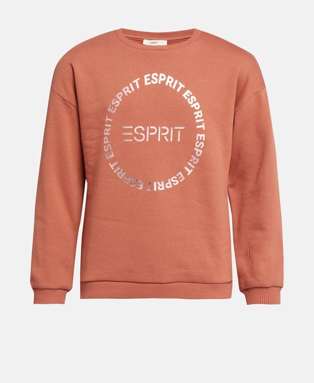 

Толстовка Esprit, коричневый