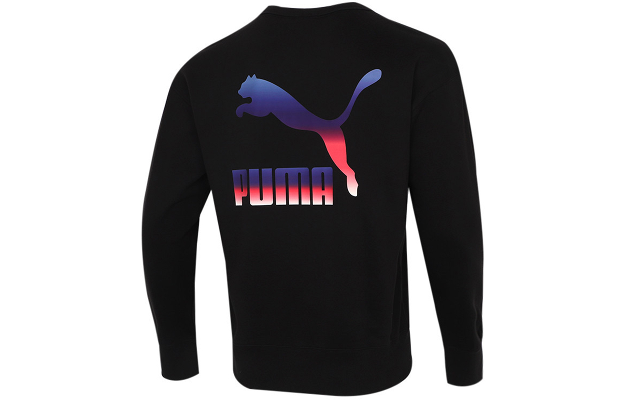 

Мужская толстовка Puma, цвет Black