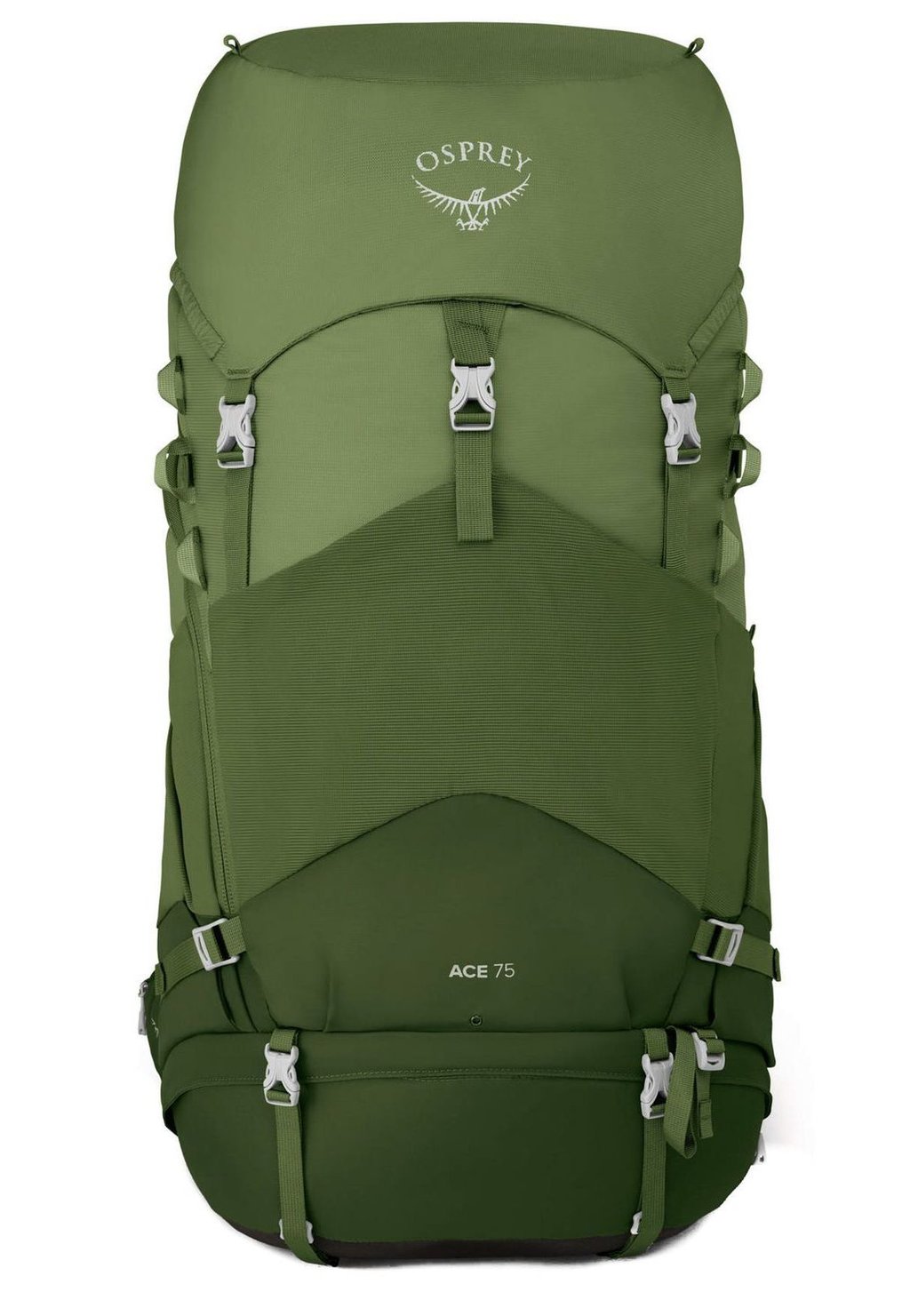 Треккинговый рюкзак ACE Osprey, цвет venture green