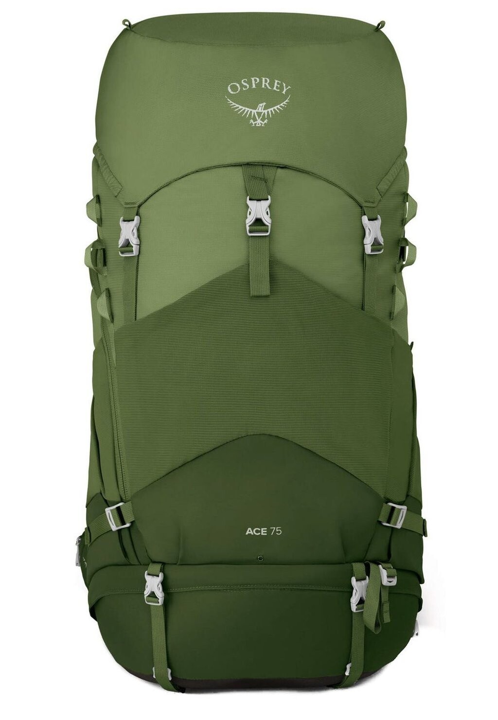 

Треккинговый рюкзак ACE Osprey, цвет venture green
