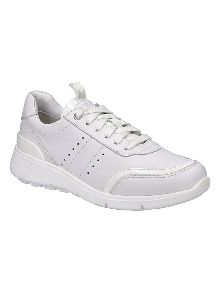 

Низкие кроссовки Josef Seibel Leder, белый
