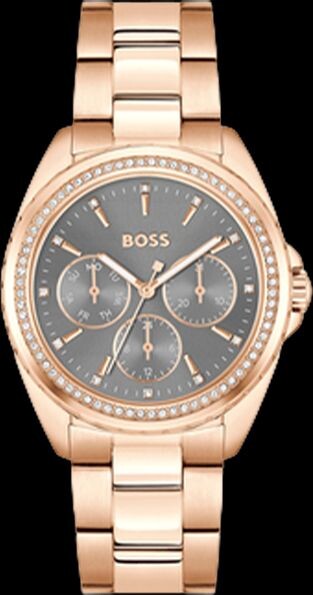 

Часы Boss 1502711