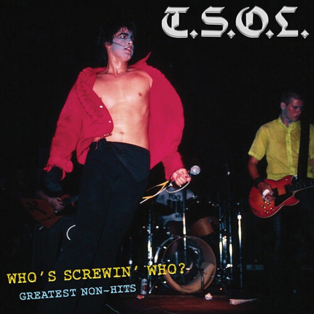 

Диск CD Who's Screwin' Who 12 Greatest Non-Hits - T.S.O.L.