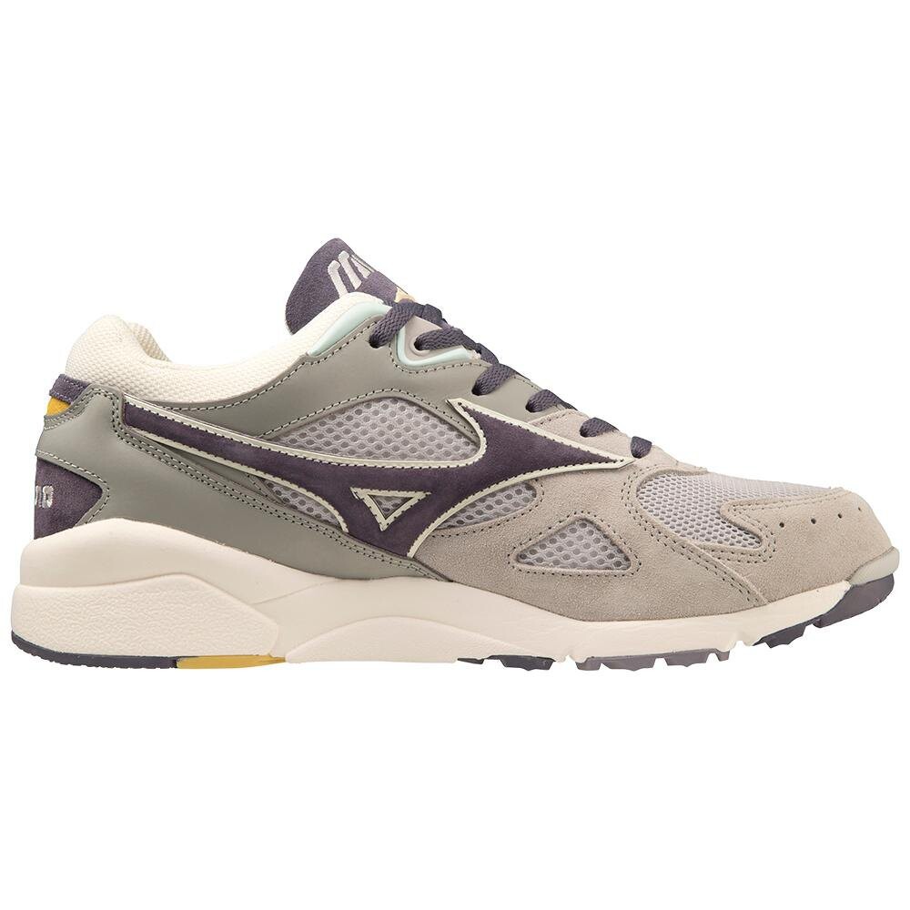 

Кроссовки Mizuno Sky Metal, серый