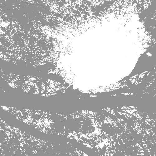 

Виниловая пластинка Comets on Fire: Field Recordings from the Sun