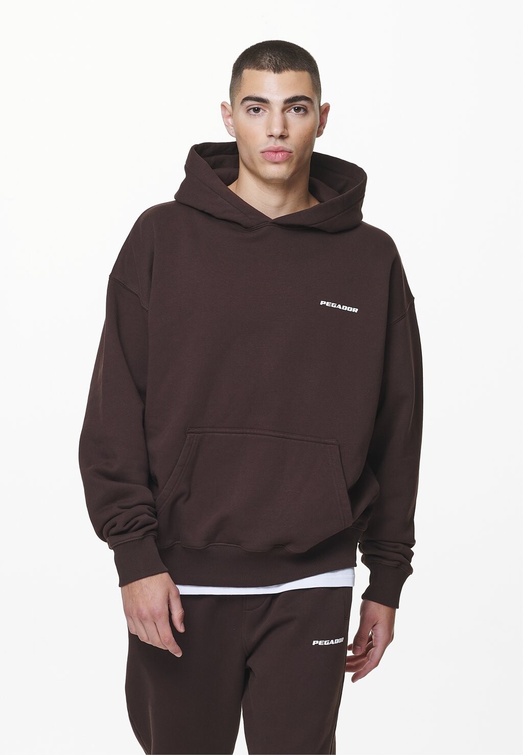 

Толстовка Pegador OVERSIZED HOODIE LOGO, мытый дуб коричневый