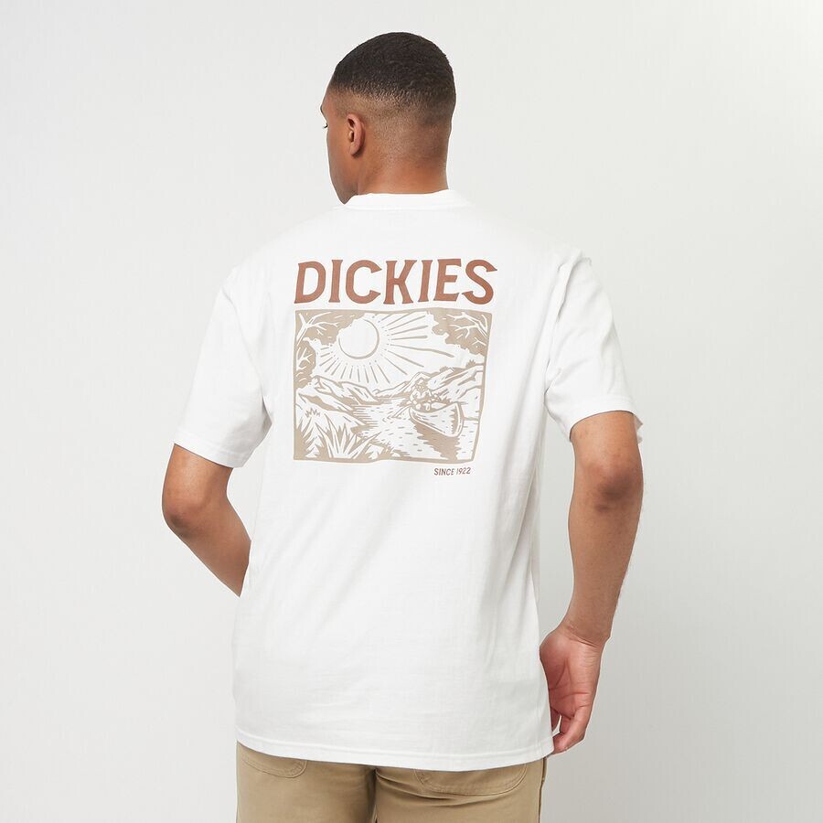 

Футболка с короткими рукавами Патрика Спрингса Dickies, цвет white