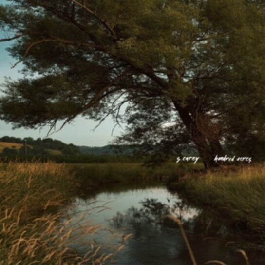 

Виниловая пластинка S. Carey - Hundred Acres
