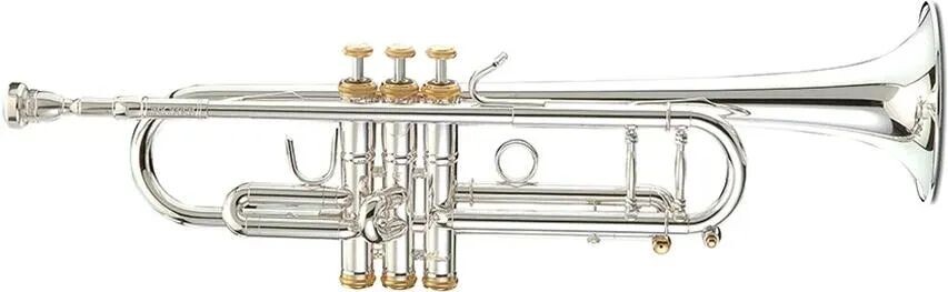 

Новая труба Stomvi 5330 Elite 250 Bb — посеребренная с золотой отделкой