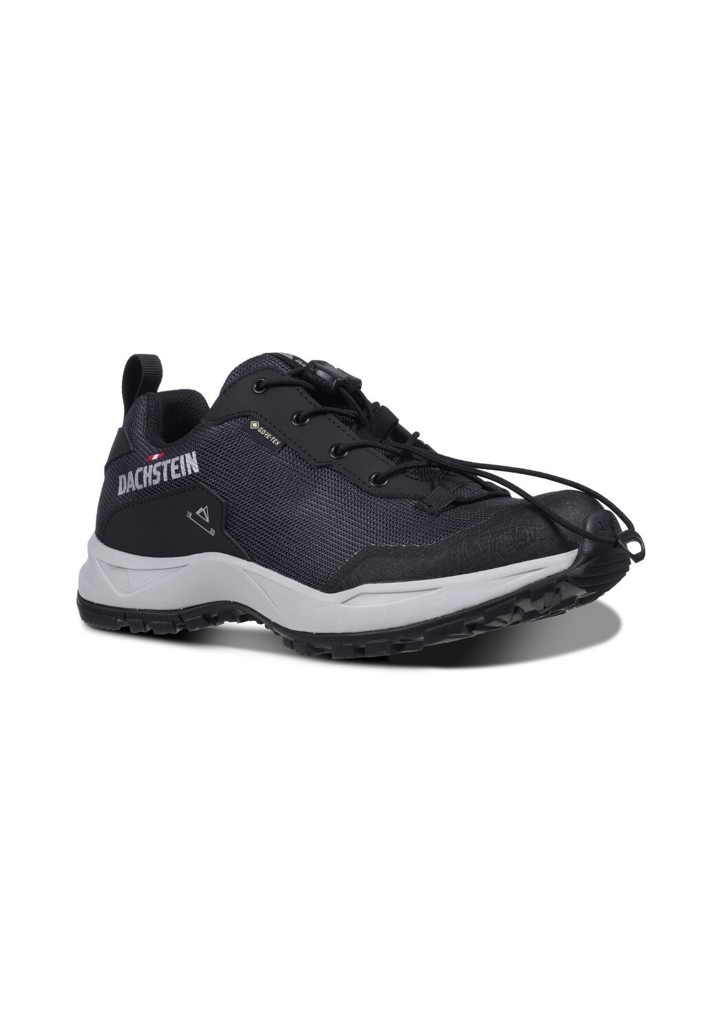 

Походная обувь DELTA ASCENT GTX Dachstein, черный