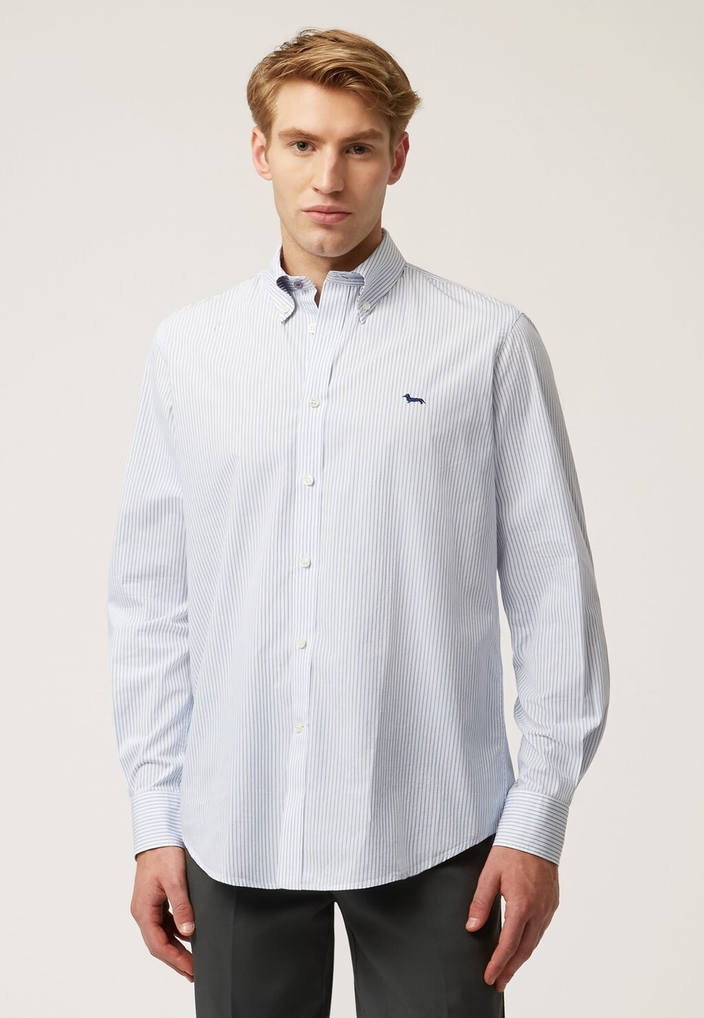 

Рубашка Striped Harmont & Blaine, цвет celeste screziato