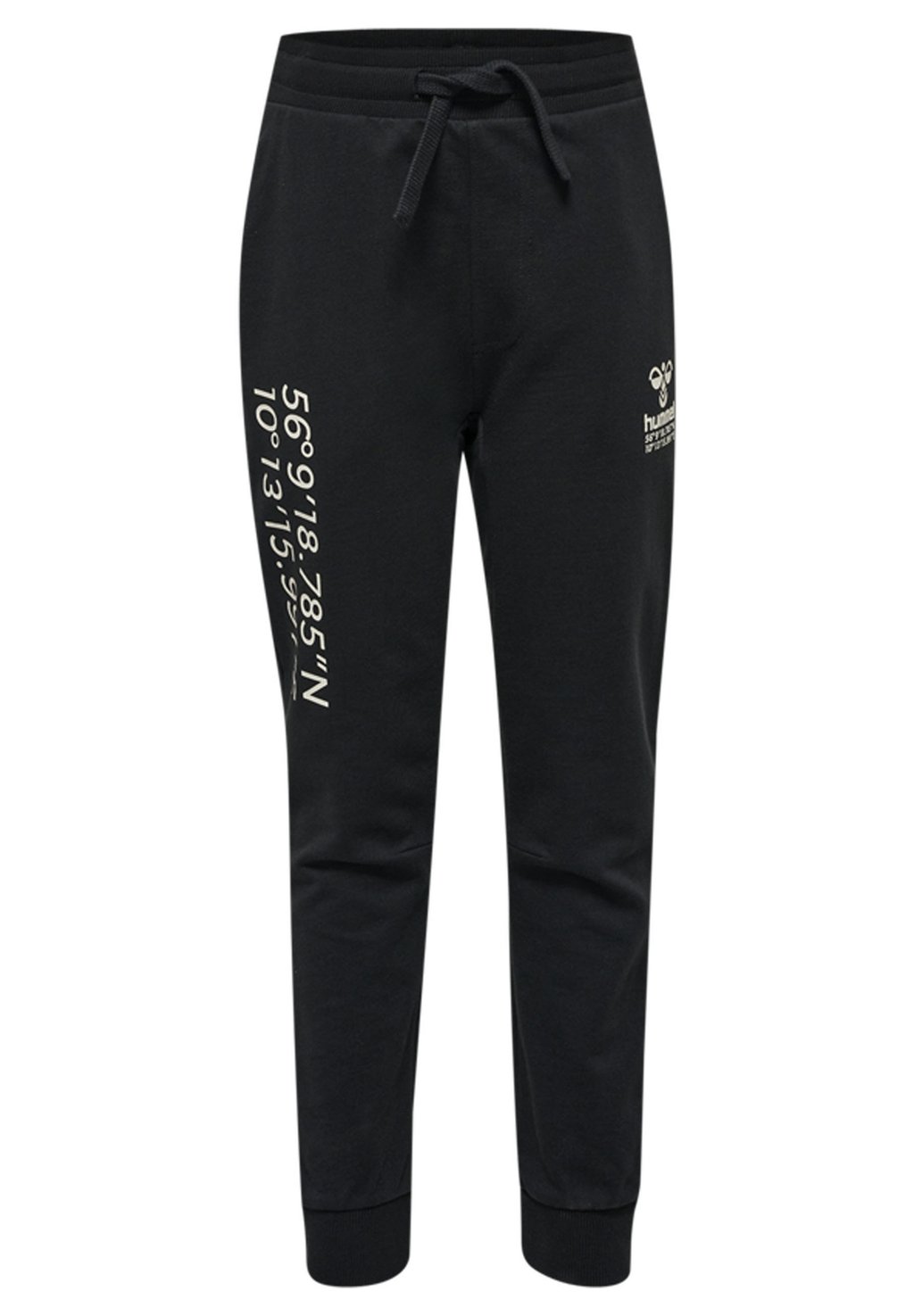 цена Спортивные штаны HMLGLOBAL PANTS Hummel, цвет black