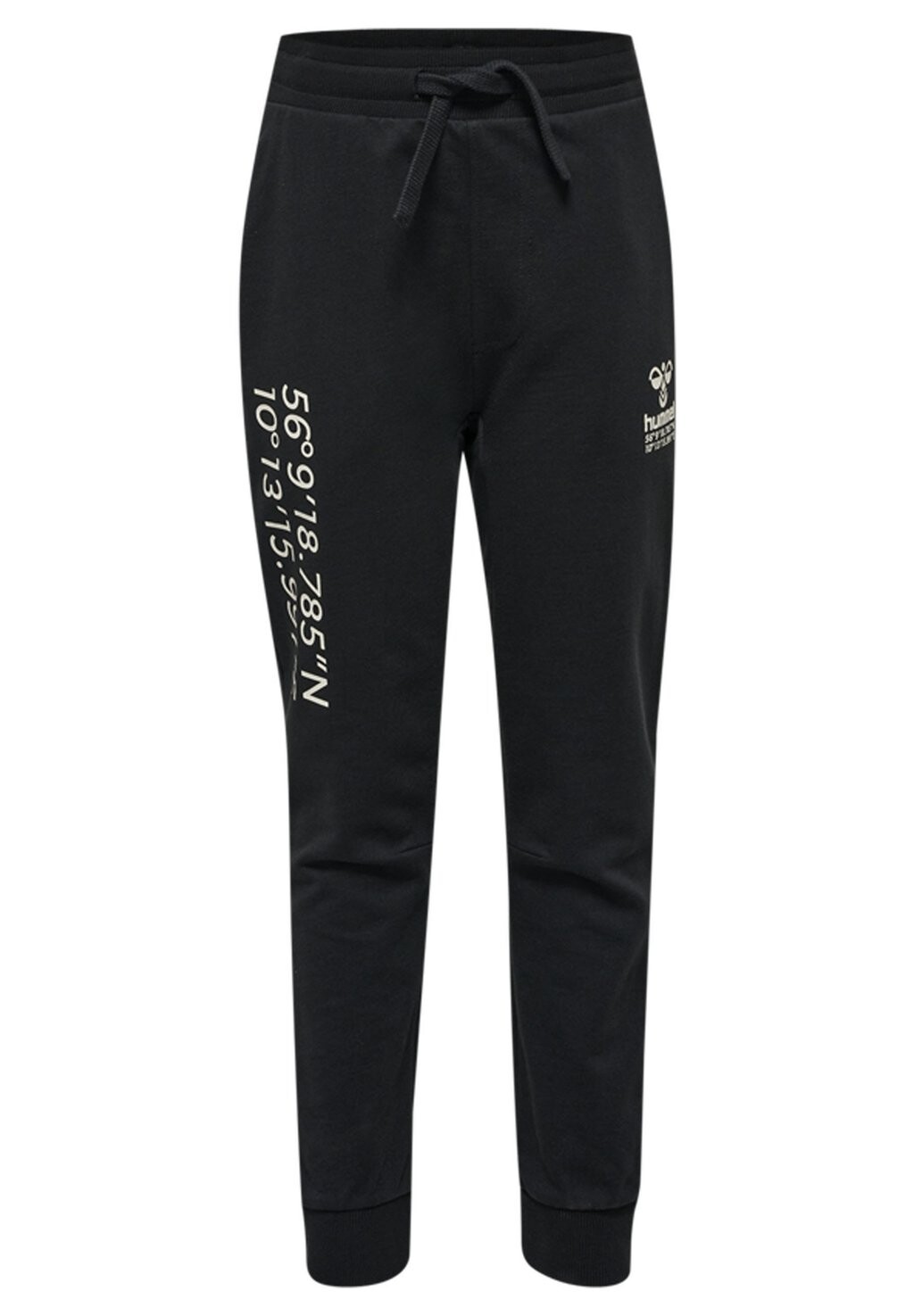 

Спортивные штаны HMLGLOBAL PANTS Hummel, цвет black