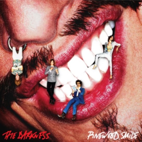 Виниловая пластинка The Darkness - Pinewood Smile