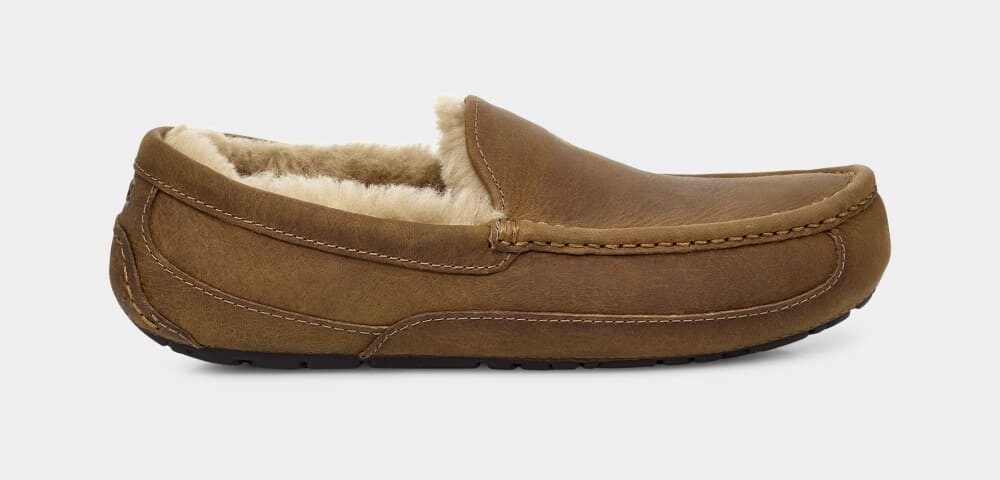 

Домашние тапочки Ascot Matte Leather UGG, коричневый