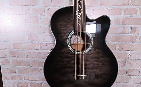 

Басс гитара Michael Kelly DRAGONFLY 5 FRETLESS 5 String Bass Guitar