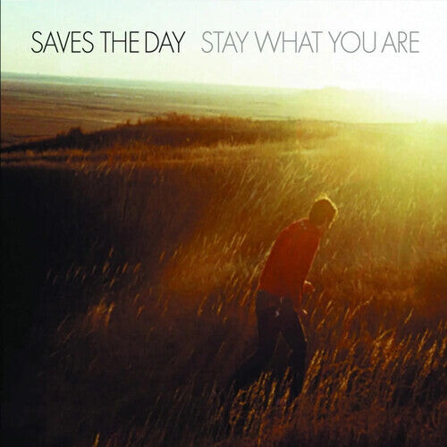 

Виниловая пластинка Saves the Day: Stay What You Are - 10-Inch Vinyl