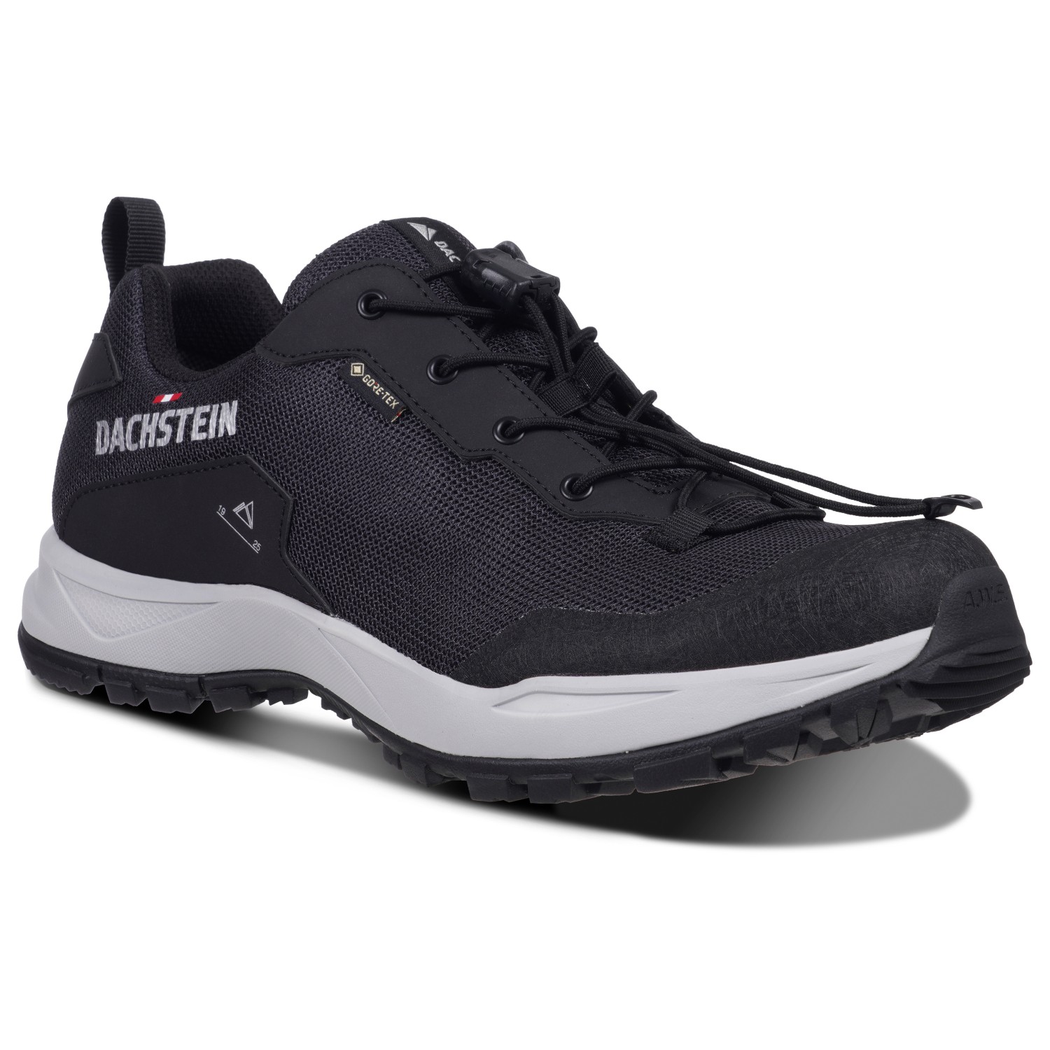 Мультиспортивная обувь Dachstein Delta Ascent GTX, черный