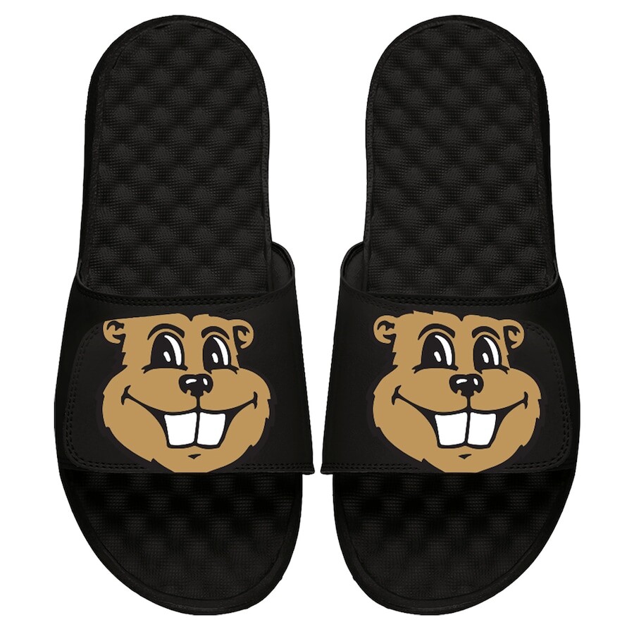 

Шлепанцы ISlide Minnesota Golden Gophers, черный