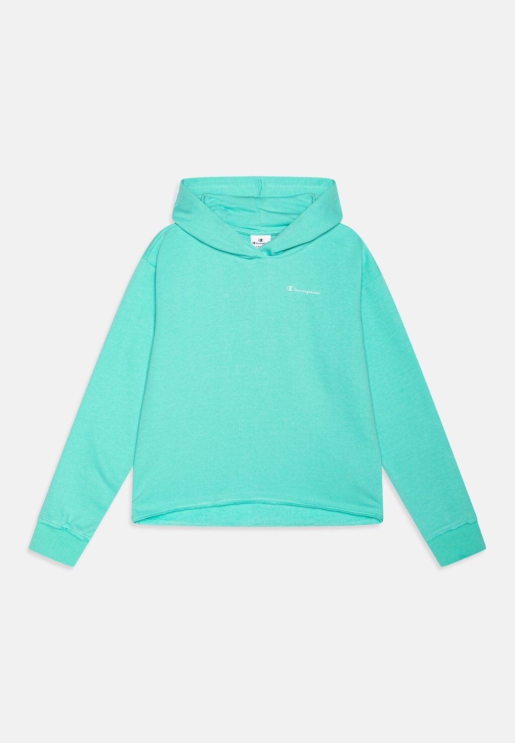

Толстовка MINIMALIST RESORT HOODED UNISEX Champion, цвет turquoise