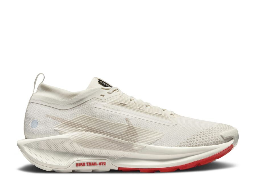 

Кроссовки Nike Pegasus Trail 5 GORE TEX, цвет Sail Picante Red