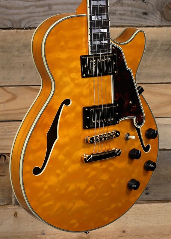 

Электрогитара D'Angelico Excel SS XT Hollowbody Guitar Vintage Natural w/ Case