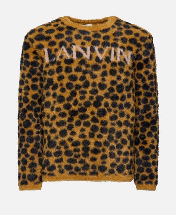 

Джемпер с длинными рукавами Lanvin, коричневый