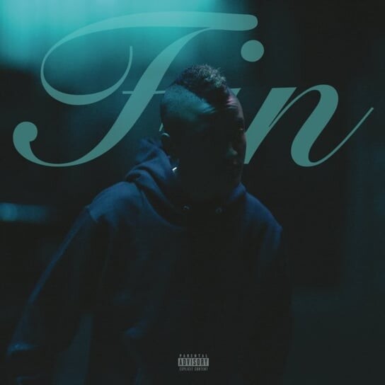 

Виниловая пластинка Syd - Fin