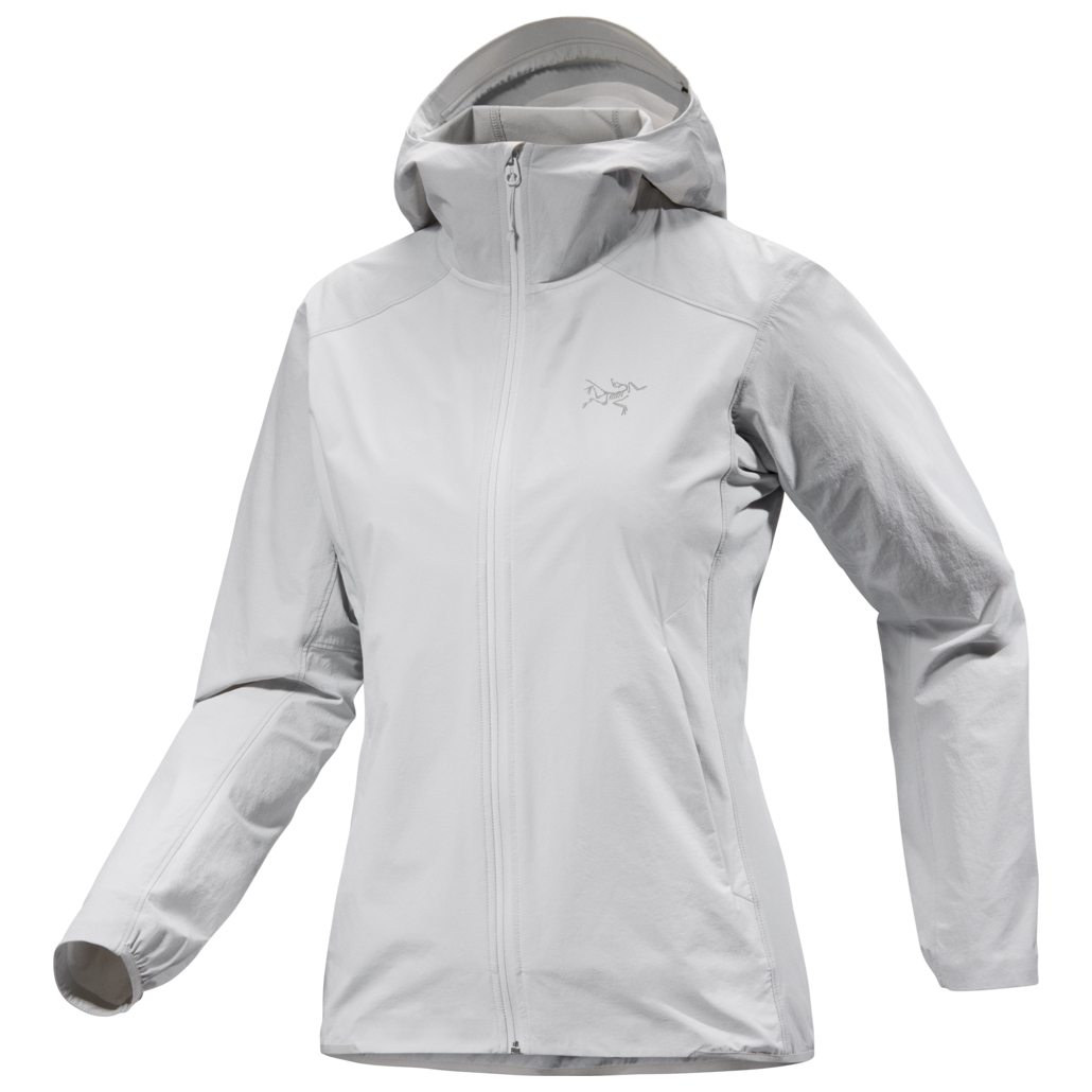 

Куртка из софтшелла Arc'Teryx Women's Gamma Lightweight Hoody, цвет Atmos/Solitude