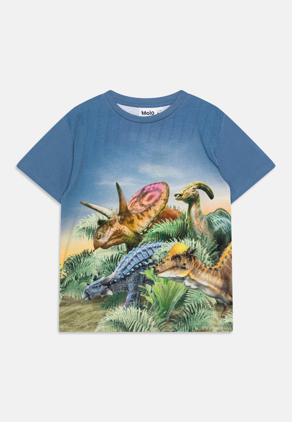

Футболка с принтом RAVENO SHORT SLEEVES Molo, цвет blue