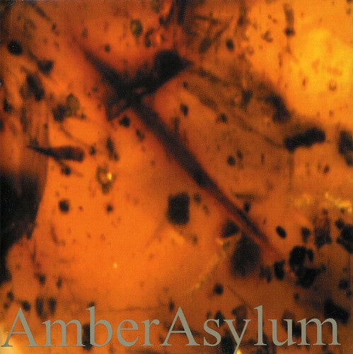 

CD диск Amber Asylum: Frozen in Amber