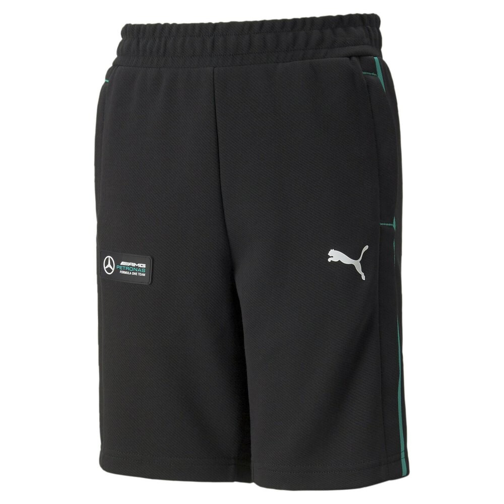 

Шорты Puma Mapf1, черный