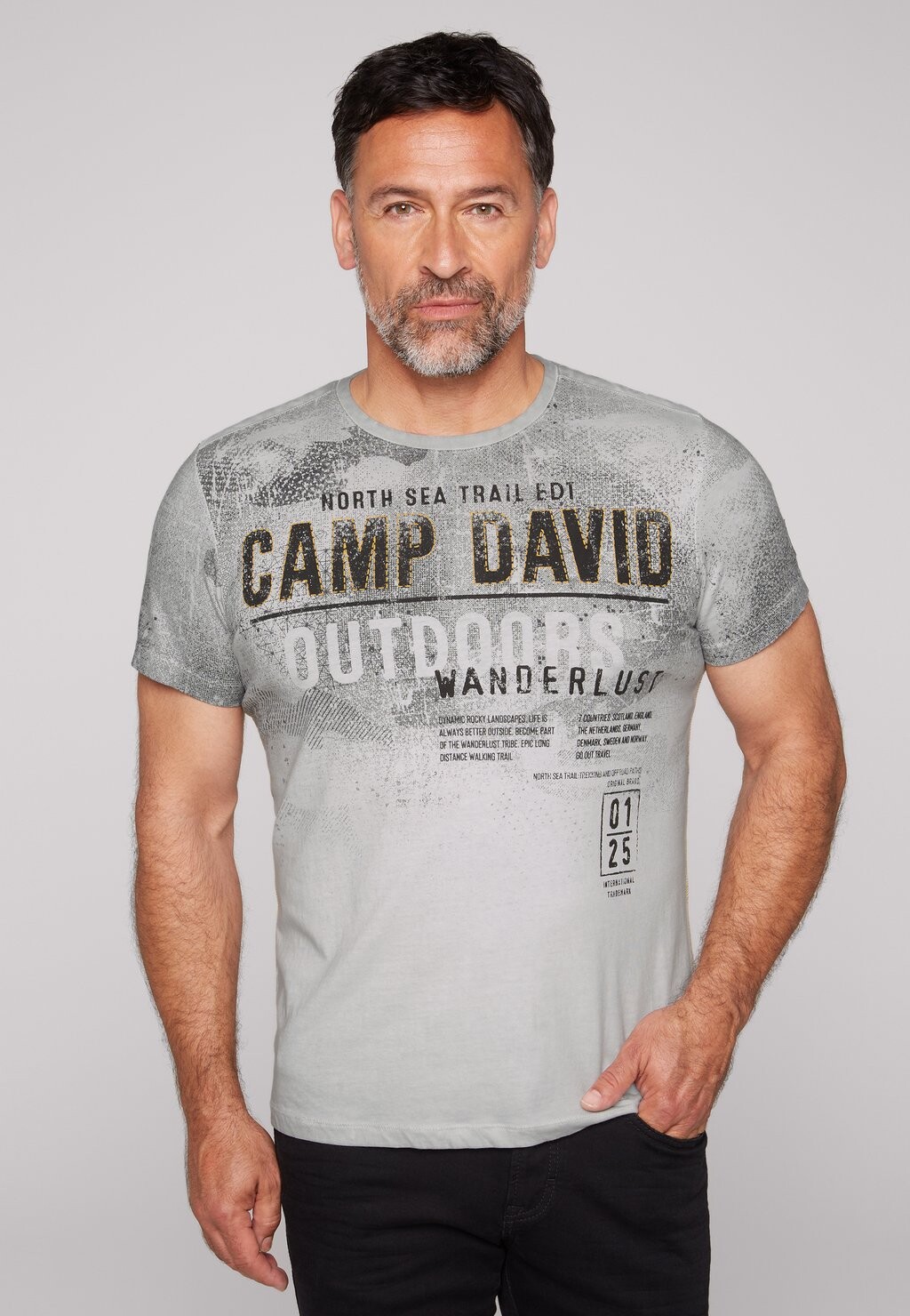 

Футболка с принтом MIT LOGO IM USED LOOK Camp David, цвет polo grey