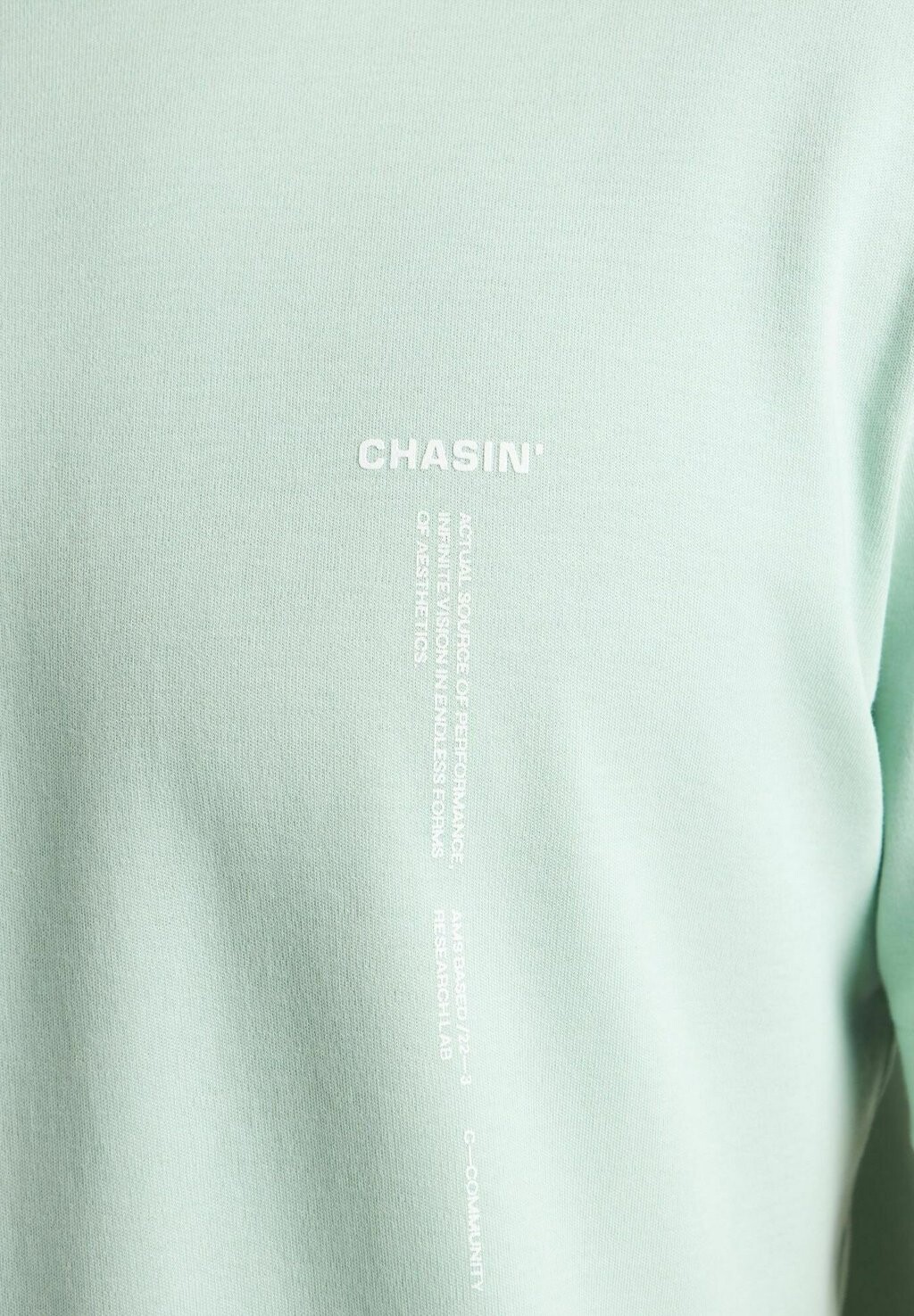 

Футболка с принтом Slash CHASIN', СВЕТЛО-ЗЕЛЕНЫЙ